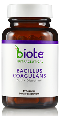 Bacillus Coagulans