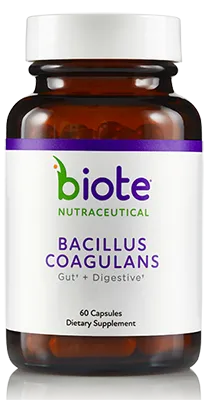Bacillus Coagulans