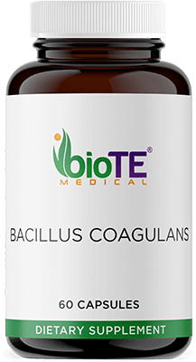 Bacillus Coagulans